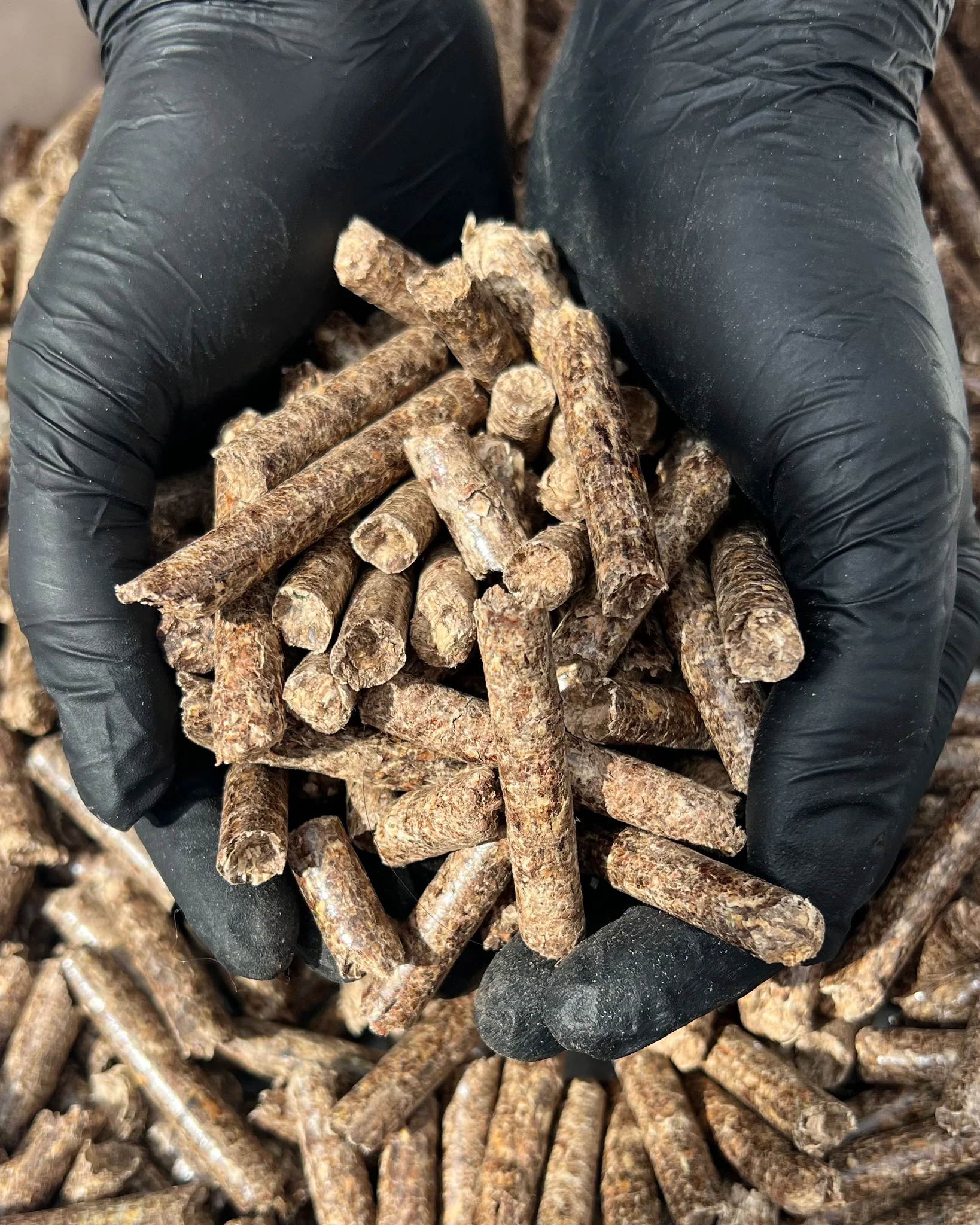 EN plus A1 Holzpellets 01